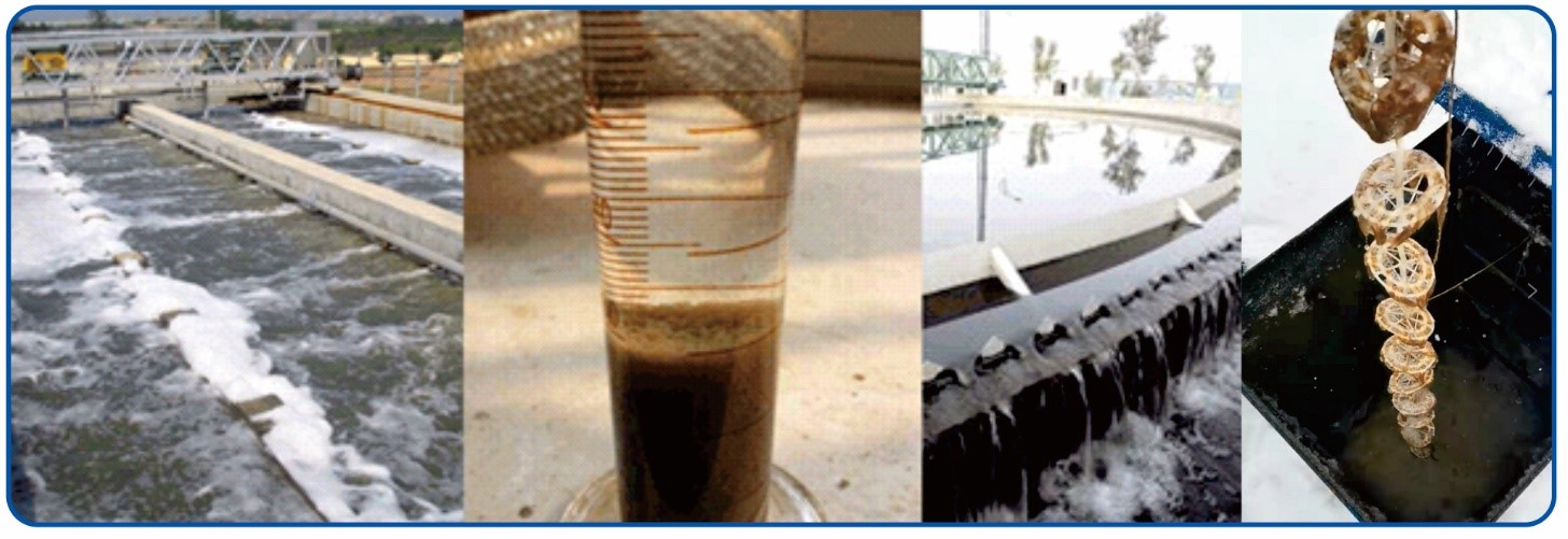 1695570339160578.jpg 2.jpg