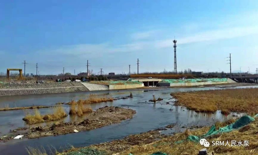 1696519176182747.jpeg image1.jpeg